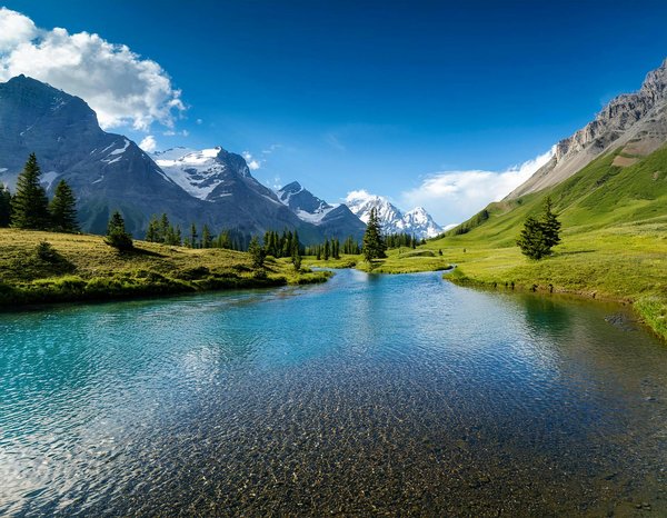 Decouvertes Authentiques