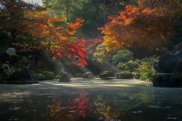Comment organiser une visite des jardins impériaux au Japon?