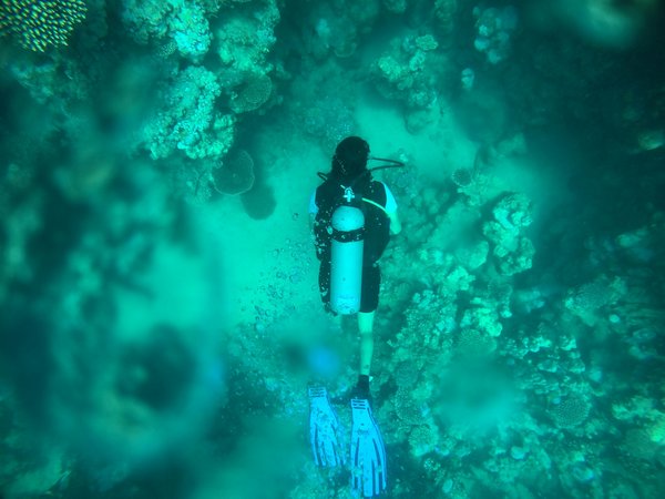 Où trouver les meilleurs spots pour la plongée en apnée dans les îles Fidji : conseils et périodes idéales ?